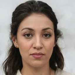 LeVanTam avatar